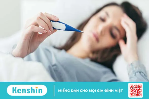 Bạch chỉ là gì? Những lợi ích của bạch chỉ đối với sức khoẻ