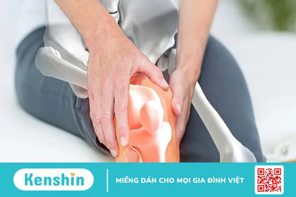 Bạch quả là gì? 8 tác dụng của bạch quả đối với cơ thể