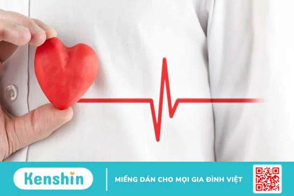 Bạch quả là gì? 8 tác dụng của bạch quả đối với cơ thể