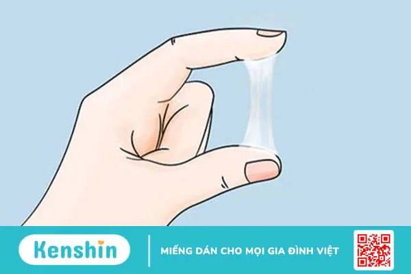 Bạch quả là gì? 8 tác dụng của bạch quả đối với cơ thể