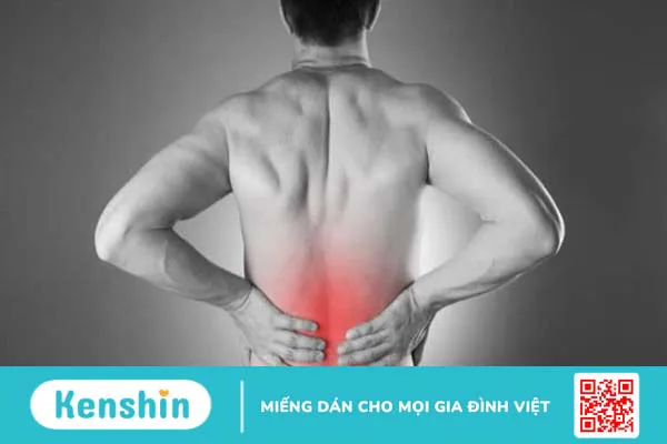 Bạch tật lê có thực sự là thần dược tăng cường sinh lực nam giới không?