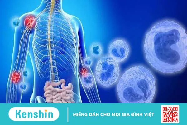 Bán biên liên có tác dụng gì? Công dụng và liều dùng bán biên liên