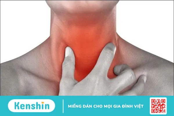 Bán biên liên có tác dụng gì? Công dụng và liều dùng bán biên liên