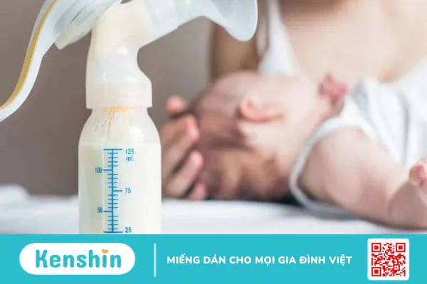 Bánh gai bao nhiêu calo? Ăn bánh gai có béo không? Cách ăn giảm cân