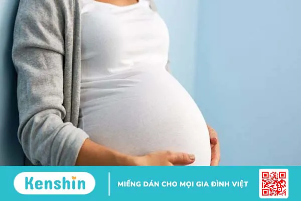 Bào ngư có tác dụng gì? 16 tác dụng của bào ngư với sức khỏe