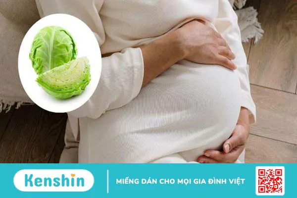 Bắp cải bao nhiêu calo? Ăn bắp cải có giảm cân không và lưu ý khi ăn