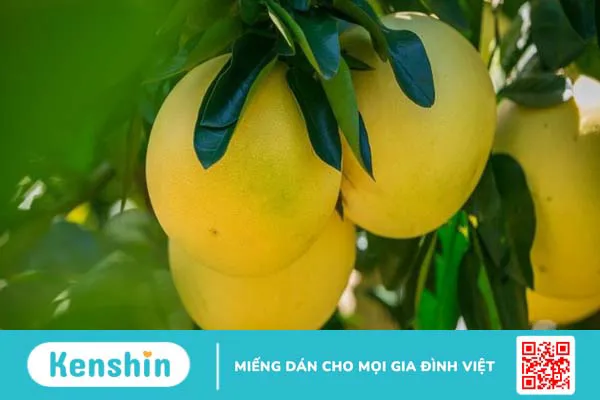 Bệnh gan nên ăn gì và kiêng gì để nhanh hồi phục