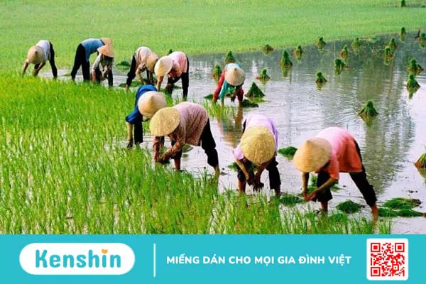 Bệnh nấm kẽ chân (nước ăn chân) – bệnh thường gặp mùa mưa bạn cần biết