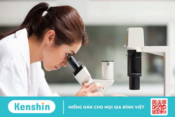 Bệnh nấm kẽ chân (nước ăn chân) – bệnh thường gặp mùa mưa bạn cần biết