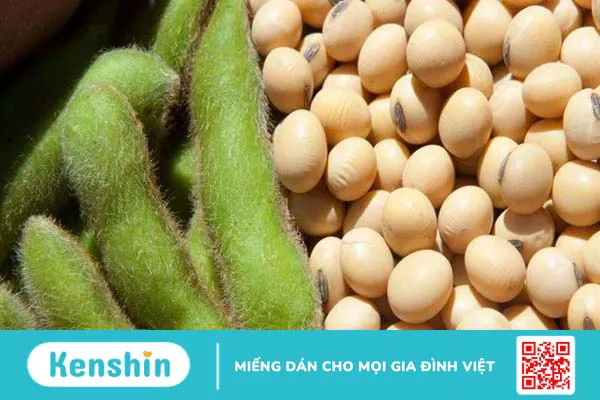 Bệnh sỏi mật nên kiêng gì và ăn gì? Lưu ý trong chế độ ăn