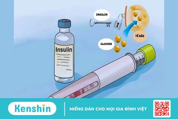 Bệnh tiểu đường ăn chuối được không? 6 lợi ích tốt cho bệnh tiểu đường