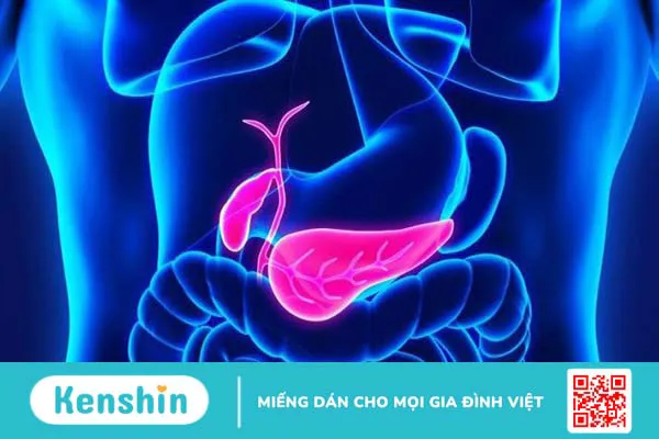 Bệnh tiểu đường ăn chuối được không? 6 lợi ích tốt cho bệnh tiểu đường