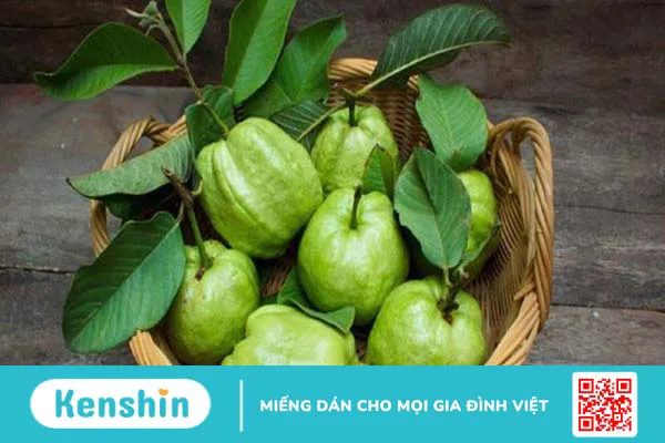 Bệnh tiểu đường ăn ổi được không? 9 lợi ích của ổi với bệnh tiểu đường