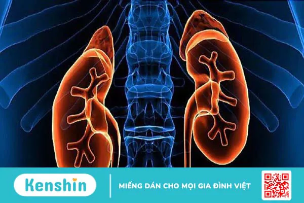 Bệnh tiểu đường có ăn được thịt gà không? 5 lợi ích và cách chế biến