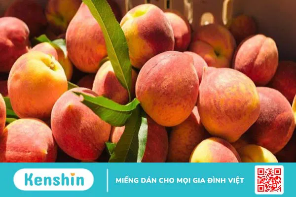 Bệnh tiểu đường nên ăn trái cây gì? 20 loại quả tốt cho người bệnh