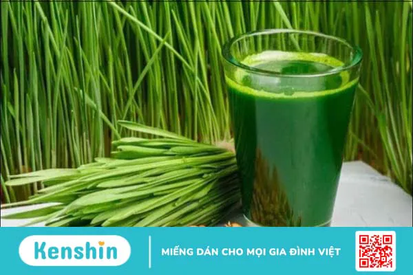 Bệnh tiểu đường uống nước gì tốt? 19 loại nước giúp ổn định đường huyết