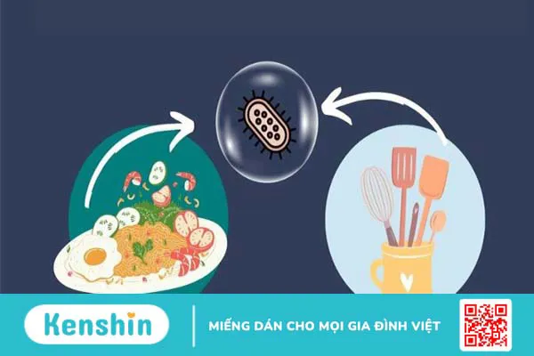 Bệnh tiêu hóa và 11 cách phòng chống bệnh đường ruột ngày nắng nóng