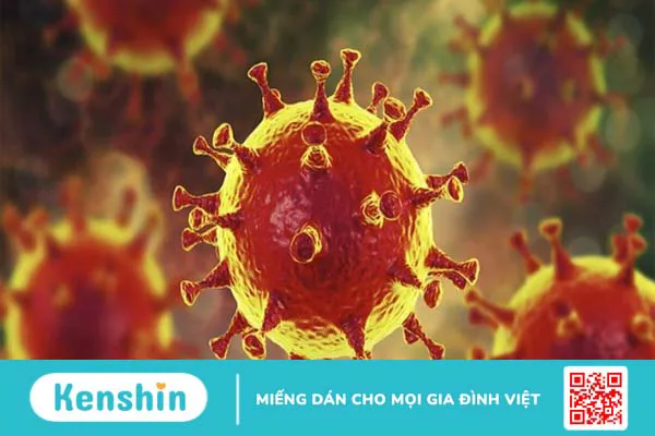 Bệnh viêm phổi cấp do nhiễm Virus corona