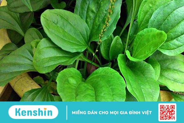 Bị bỏng nên làm gì? 12 mẹo trị phỏng nước sôi, bỏng lửa hiệu quả