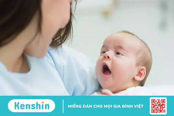 Bí đao có tác dụng gì? 13 tác dụng của bí đao bạn không nên bỏ qua