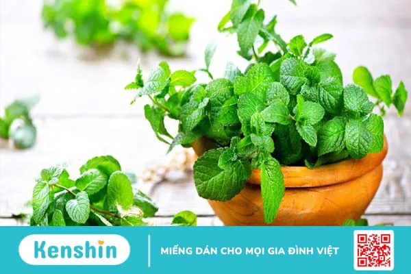 Bị sỏi thận nên ăn gì? 12 loại thực phẩm trị sỏi thận tại nhà an toàn, hiệu quả