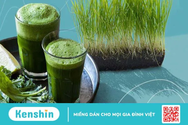 Bị sỏi thận nên ăn gì? 12 loại thực phẩm trị sỏi thận tại nhà an toàn, hiệu quả