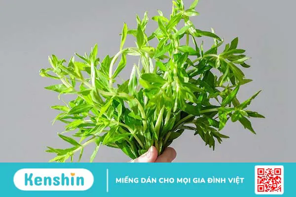 Bị sỏi thận nên ăn gì? 12 loại thực phẩm trị sỏi thận tại nhà an toàn, hiệu quả