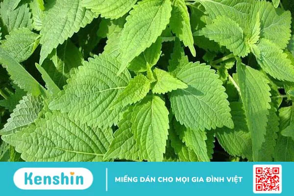 Bị thủy đậu có tắm được không? 12 mẹo và lưu ý tắm cho người thủy đậu