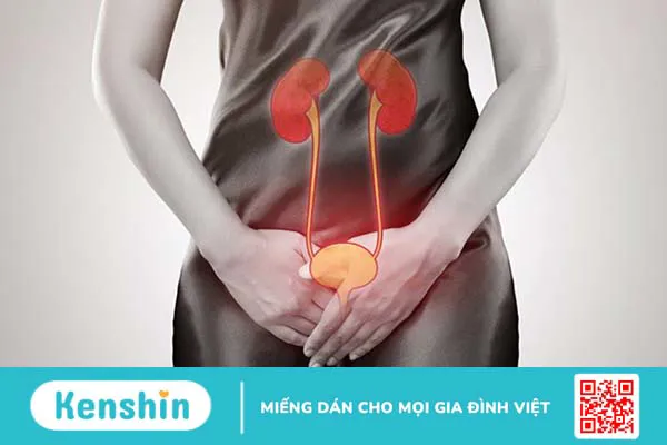 Bị viêm đường tiết niệu có quan hệ được không? Rủi ro, lưu ý cần biết