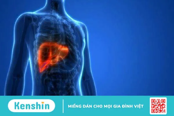 Bia bao nhiêu calo? Uống bia có tốt không?