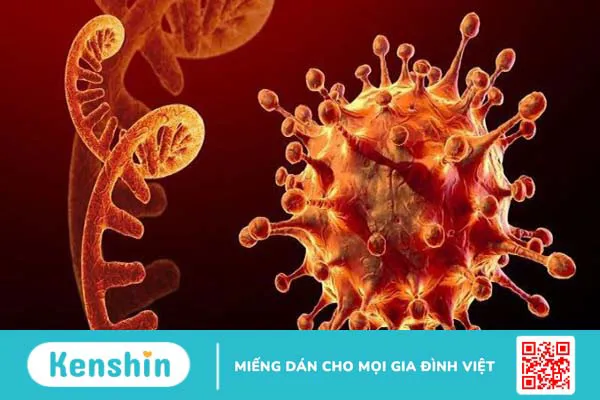 Biến thể phụ mới JN.1 COVID-19, chủ động bảo vệ bản thân và gia đình