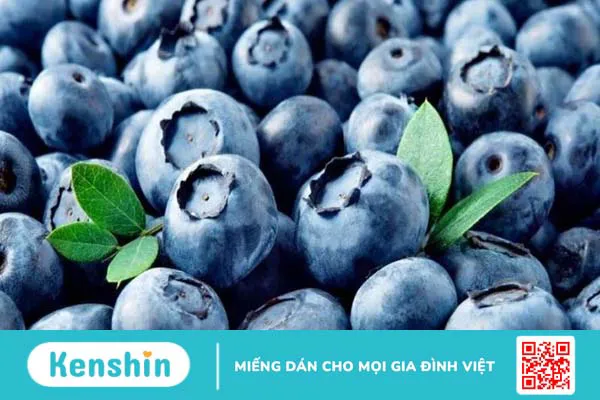 Bilberry extract là gì? 17 tác dụng của Bilberry đối với sức khỏe bạn cần biết