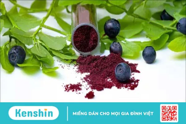 Bilberry extract là gì? 17 tác dụng của Bilberry đối với sức khỏe bạn cần biết