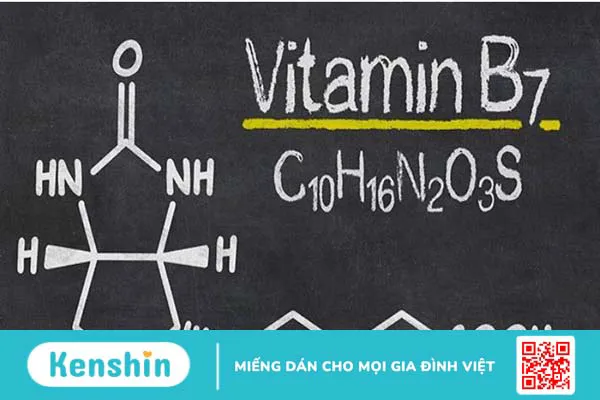 Biotin là gì? Cách sử dụng trị rụng tóc HIỆU QUẢ, NHANH và lưu ý