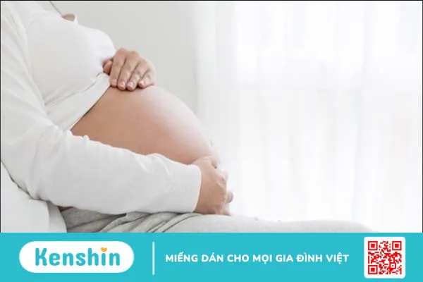 Bồ công anh có thể trị đau dạ dày không?