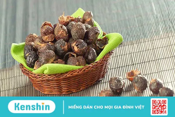 Bồ hòn có tác dụng gì? 6 tác dụng của quả bồ hòn trong chữa bệnh