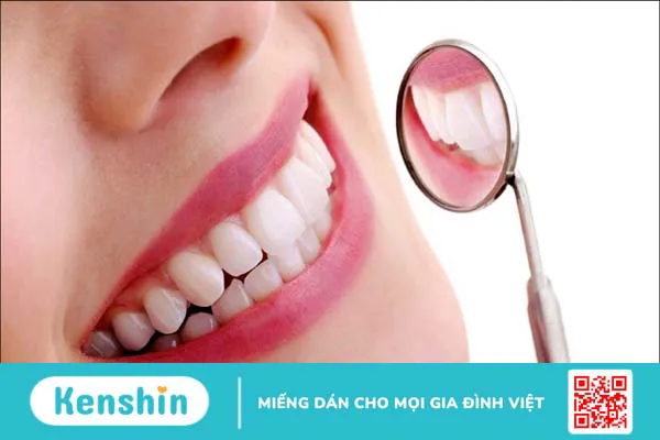 Bồ hòn có tác dụng gì? 6 tác dụng của quả bồ hòn trong chữa bệnh