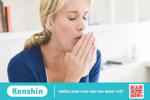 Bồ hòn có tác dụng gì? 6 tác dụng của quả bồ hòn trong chữa bệnh