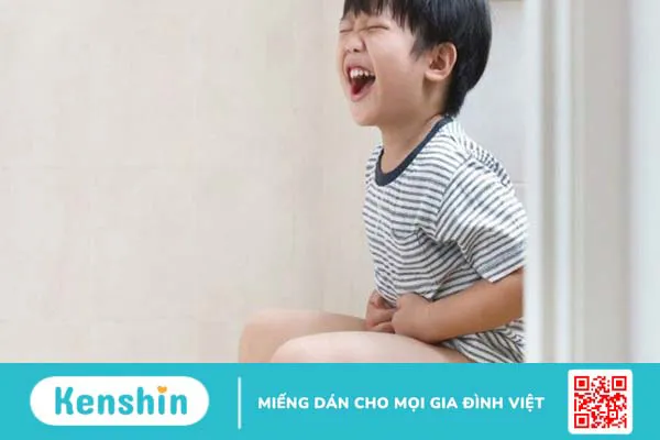 Bổ sung chất xơ có làm giảm táo bón không?