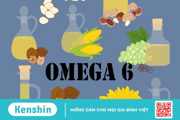 Bổ sung omega 3-6-9 từ đâu?