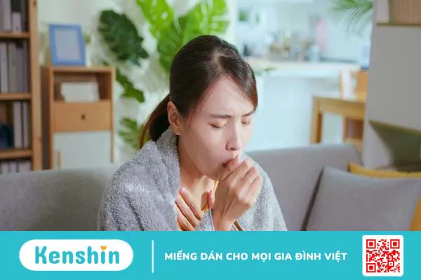 Bối mẫu là gì? Tác dụng của bối mẫu đối với sức khỏe