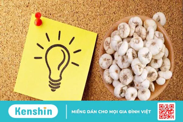 Bối mẫu là gì? Tác dụng của bối mẫu đối với sức khỏe