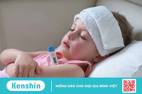 Bột sắn dây có tác dụng gì? 4 công dụng của bột sắn dây bạn nên biết!