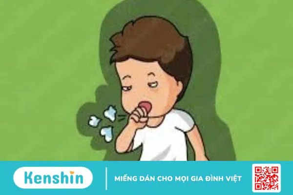 Cà gai leo có tác dụng gì? 11 tác dụng, cách dùng và lưu ý sử dụng