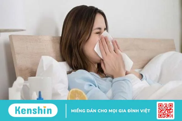 Cà gai leo có tác dụng gì? 11 tác dụng, cách dùng và lưu ý sử dụng