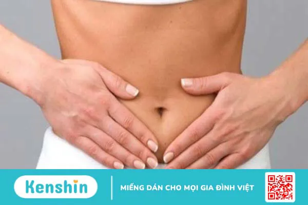 Cà gai leo có tác dụng gì? 11 tác dụng, cách dùng và lưu ý sử dụng