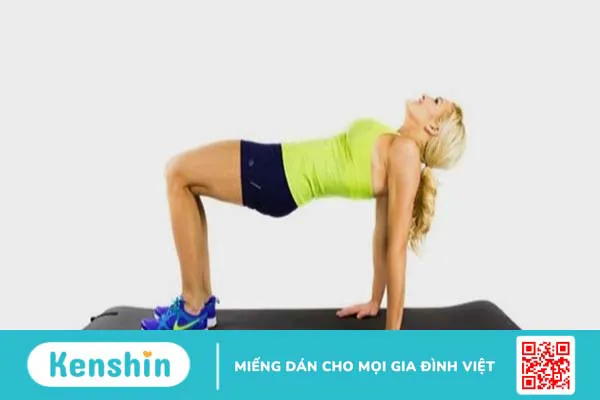 Các bài tập Plank giảm mỡ bụng, săn chắc cơ thể tại nhà – Phần 1