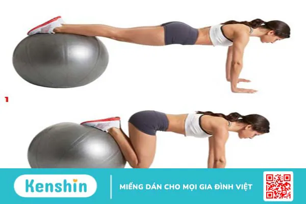 Các bài tập Plank giảm mỡ bụng tại nhà – Phần 2