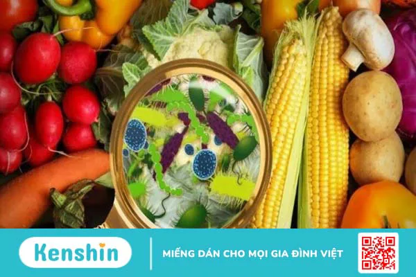 Các bệnh đường tiêu hóa thường gặp vào ngày lễ và cách phòng ngừa