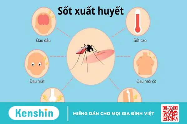 Các bệnh thường gặp vào mùa mưa và cách phòng tránh hiệu quả